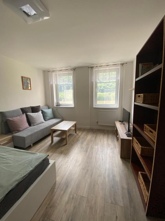 Apartmány U Viaduktu 46 Ústí nad Labem Exterior foto